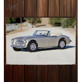 Металлическая табличка Austin Healey 3000 BJ8 Roadster (MkIII)